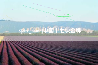 安顺中国十七块金牌