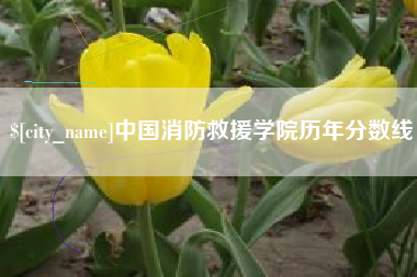 安顺中国消防救援学院历年分数线