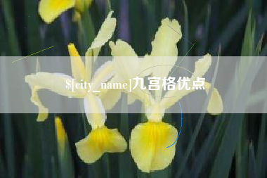 安顺九宫格优点