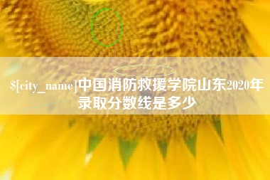 安顺中国消防救援学院山东2020年录取分数线是多少