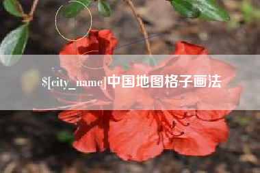 安顺中国地图格子画法