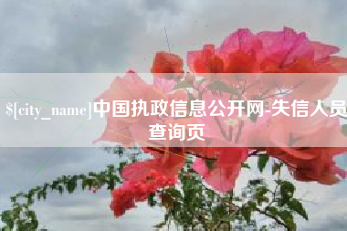 安顺中国执政信息公开网-失信人员查询页