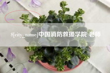 安顺中国消防救援学院 老师