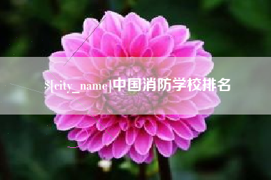 安顺中国消防学校排名