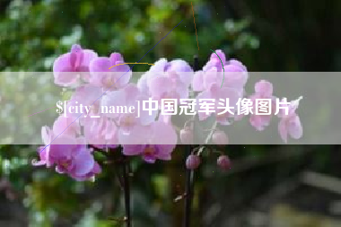 安顺中国冠军头像图片