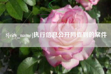 安顺执行信息公开网查到的案件