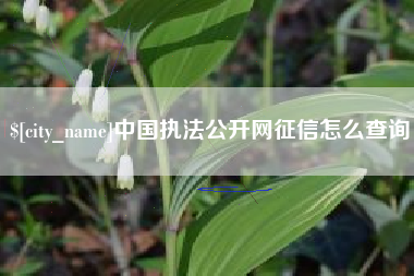 安顺中国执法公开网征信怎么查询