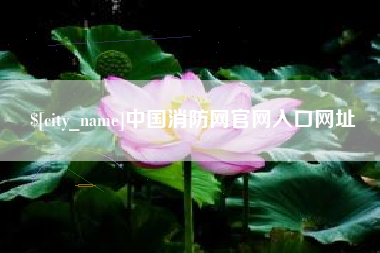 安顺中国消防网官网入口网址