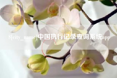 安顺中国执行记录查询系统app
