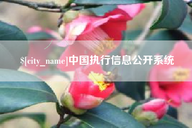 安顺中国执行信息公开系统