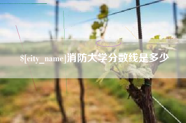 安顺消防大学分数线是多少