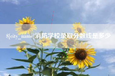 安顺消防学校录取分数线是多少