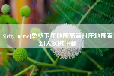 安顺免费卫星地图高清村庄地图看到人实时下载