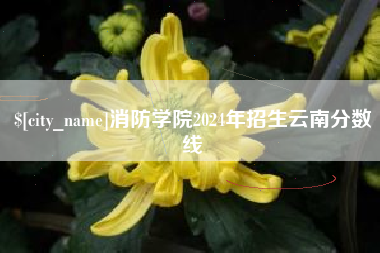 安顺消防学院2024年招生云南分数线