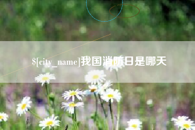 安顺我国消防日是哪天