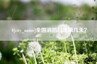 安顺全国消防日是第几天？