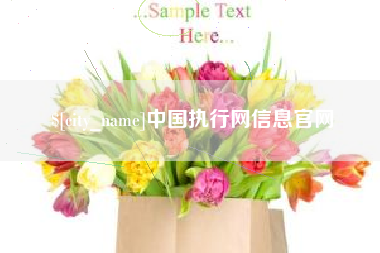 安顺中国执行网信息官网