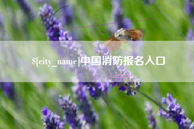 安顺中国消防报名入口