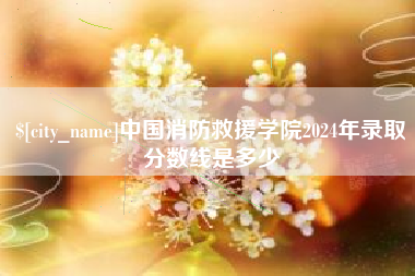 安顺中国消防救援学院2024年录取分数线是多少
