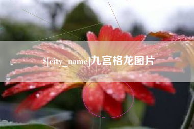 安顺九宫格龙图片