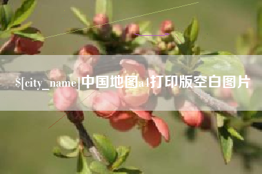 安顺中国地图a4打印版空白图片