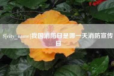 安顺我国消防日是哪一天消防宣传日
