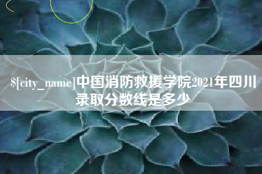 安顺中国消防救援学院2021年四川录取分数线是多少