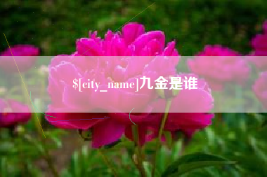 安顺九金是谁