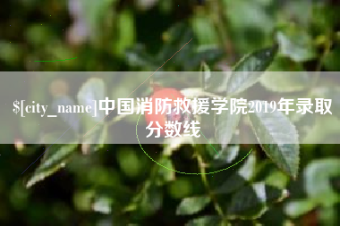 安顺中国消防救援学院2019年录取分数线