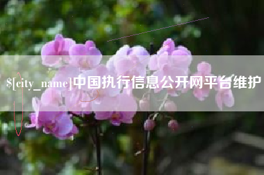 安顺中国执行信息公开网平台维护