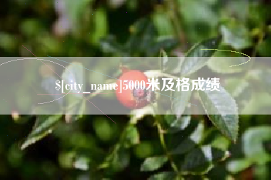 安顺5000米及格成绩