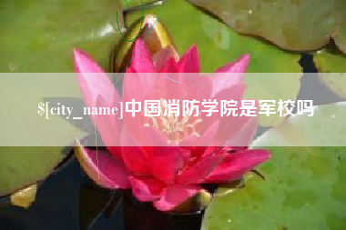 安顺中国消防学院是军校吗