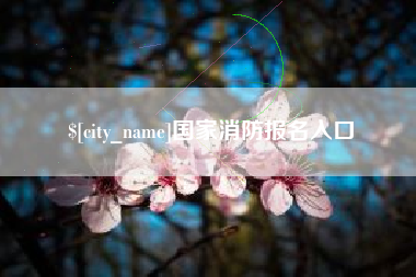 安顺国家消防报名入口