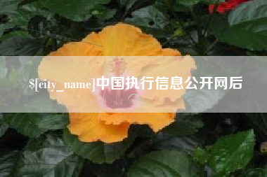 安顺中国执行信息公开网后