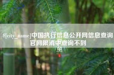 安顺中国执行信息公开网信息查询官网限消中查询不到