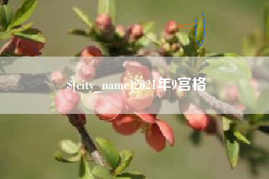 安顺2021年9宫格