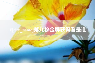 安顺第九枚金牌获得者是谁