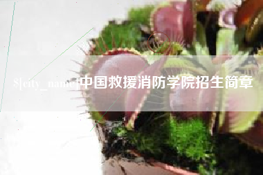 安顺中国救援消防学院招生简章