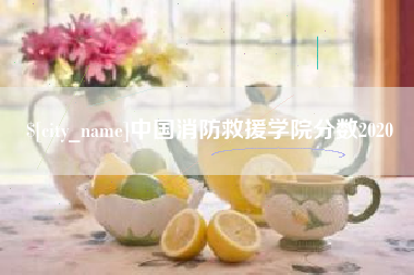安顺中国消防救援学院分数2020