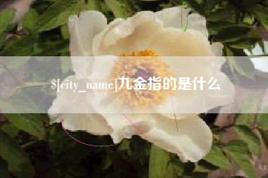 安顺九金指的是什么