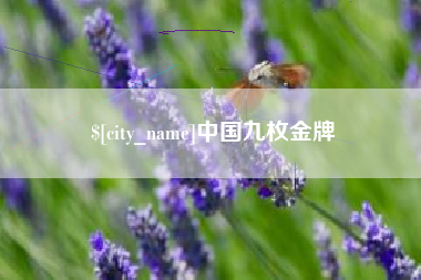 安顺中国九枚金牌