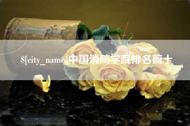安顺中国消防学院排名前十