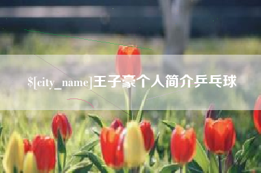 安顺王子豪个人简介乒乓球