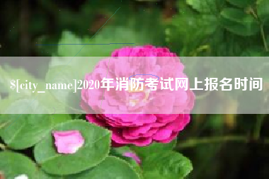 安顺2020年消防考试网上报名时间