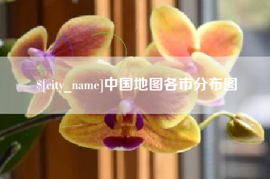 安顺中国地图各市分布图