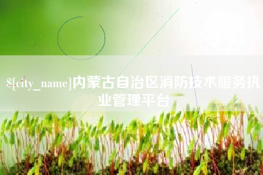安顺内蒙古自治区消防技术服务执业管理平台