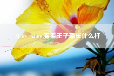 安顺看看王子豪长什么样