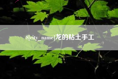 安顺龙的粘土手工
