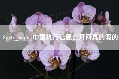安顺中国执行信息公开网真的假的