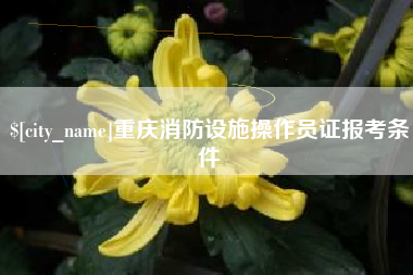 安顺重庆消防设施操作员证报考条件